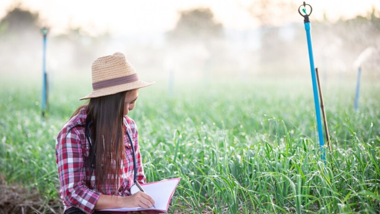 Describe the agricultural methods used by the mississippians.