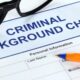 Unveiling the Process: What to Expect in a Criminal Background Check