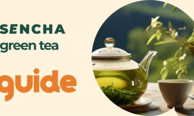 Embrace the Rich Tradition of Sencha and Elevate Your Tea Experience