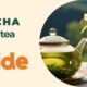 Embrace the Rich Tradition of Sencha and Elevate Your Tea Experience