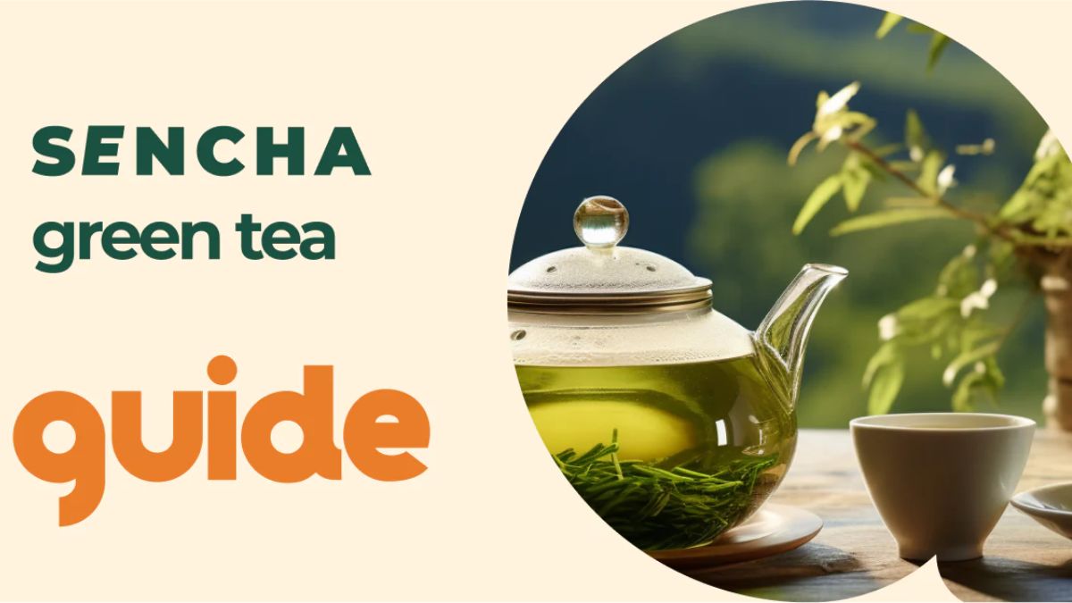 Embrace the Rich Tradition of Sencha and Elevate Your Tea Experience