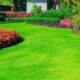 Keep Your Lawn Pest-Free: Top Tips for Year-Round Protection