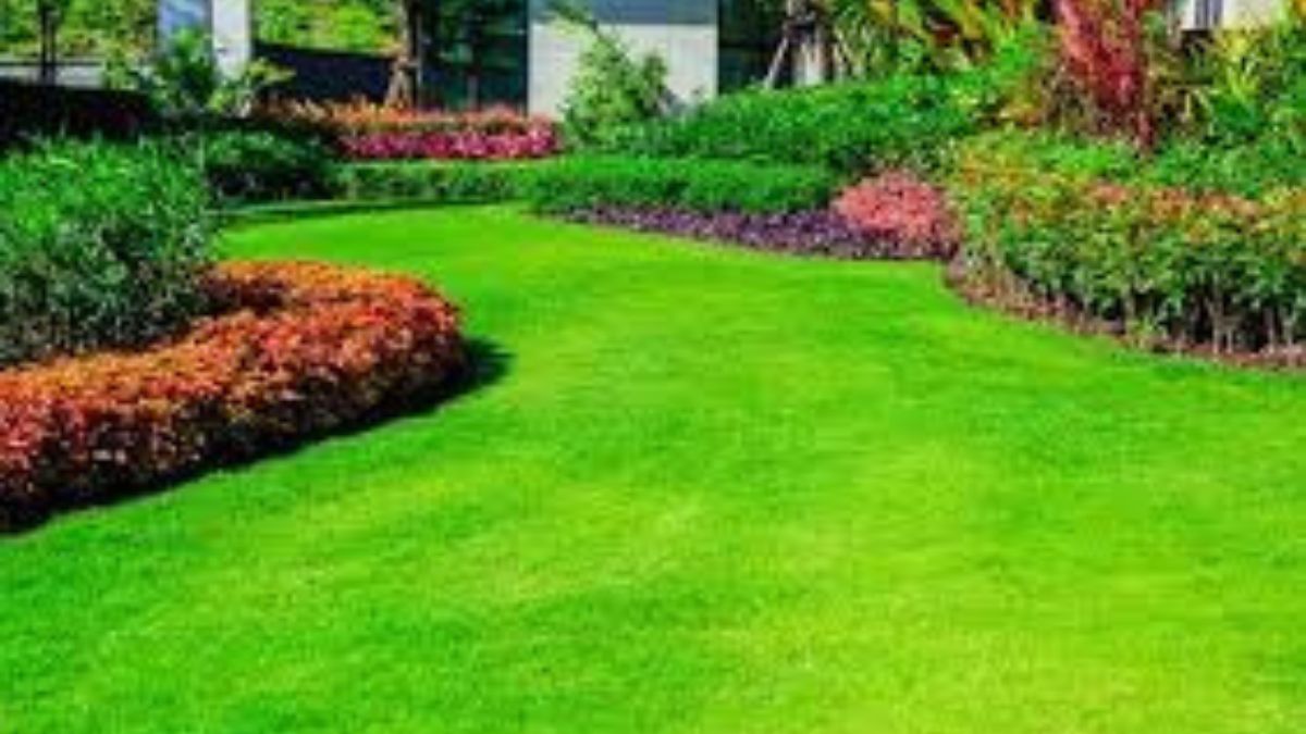 Keep Your Lawn Pest-Free: Top Tips for Year-Round Protection