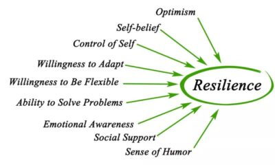 A Path to Well-Being: Discovering Emotional Resilience Through Counseling