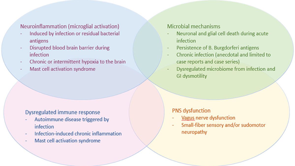 New Perspectives on Managing Dysautonomia Symptoms