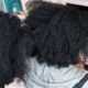 Afro Kinky Human Hair: The Ultimate Guide to Embracing Your Natural Texture